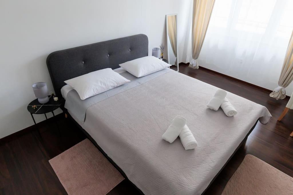 Apartment Dominicus Zadar Exteriör bild